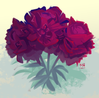 peonies Image